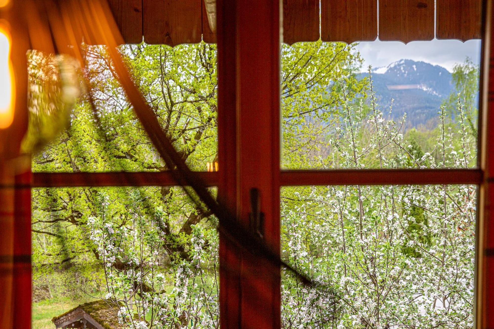Landhaus Am Arzbach バート・テルツ エクステリア 写真
